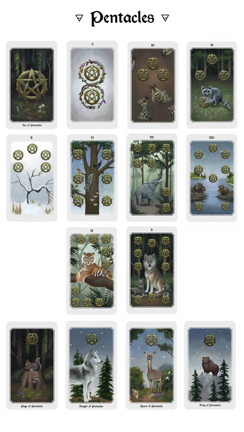 Anima Mundi Tarot Deck 78 pcs Set